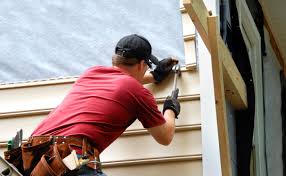 Best Siding Painting and Refinishing  in Roanoke, AL